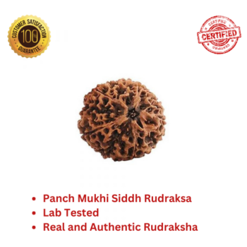 Authentic Panch Mukhi Siddh Rudraksha