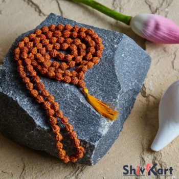 Siddh Panch Mukhi Rudraksha Mala - सिद्ध पांच मुखी रुद्राक्ष माला