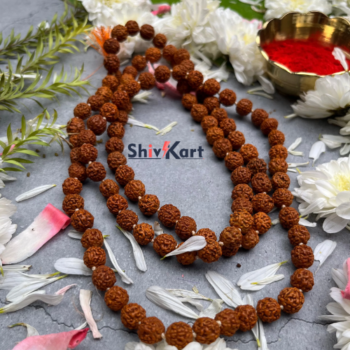 Siddh Panch Mukhi Rudraksha Mala - सिद्ध पांच मुखी रुद्राक्ष माला